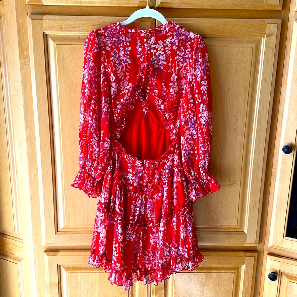 VICI Shake It Up Floral Ruffle Dress - Picture 3 of 13